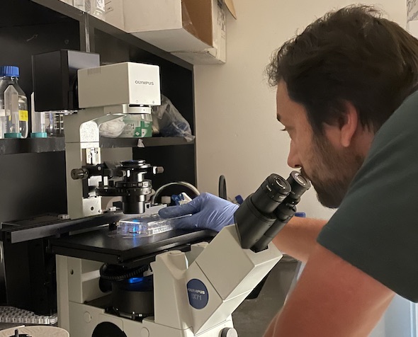 Researcher working in lab