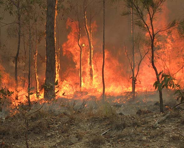 Australia Fire