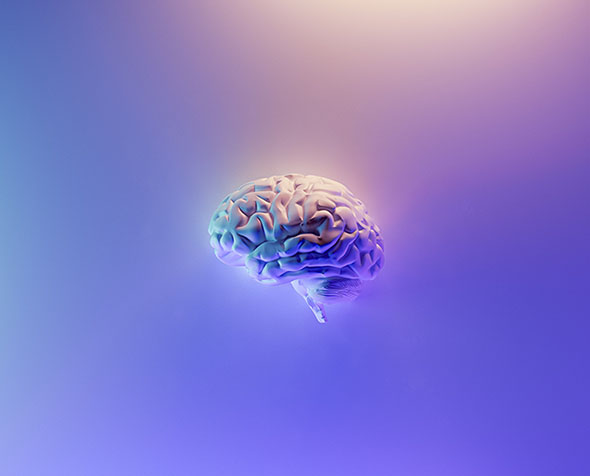 brain in the middle of a lavender haze background 