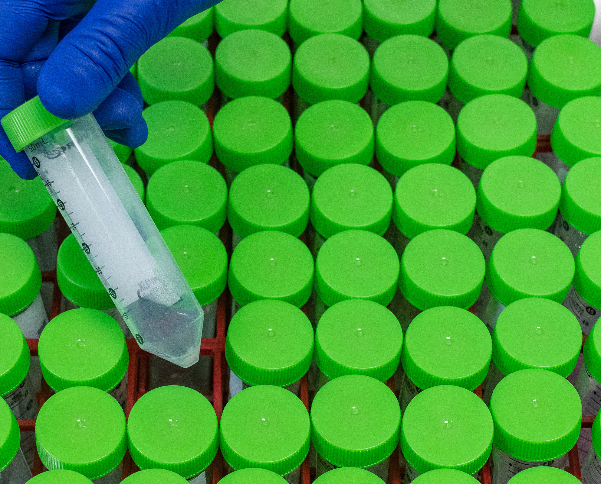 SPIT Lab test tubes