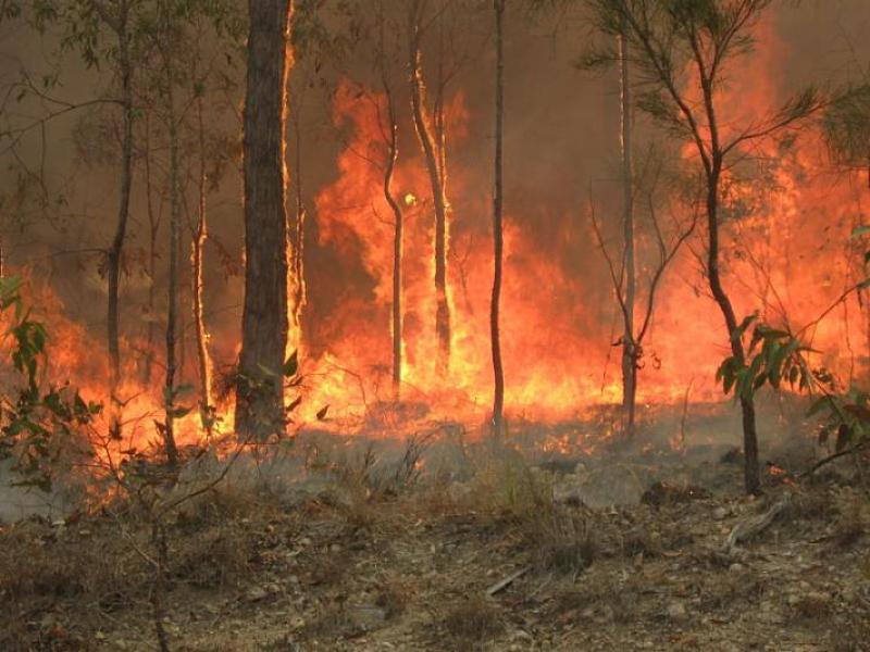 Australia fire