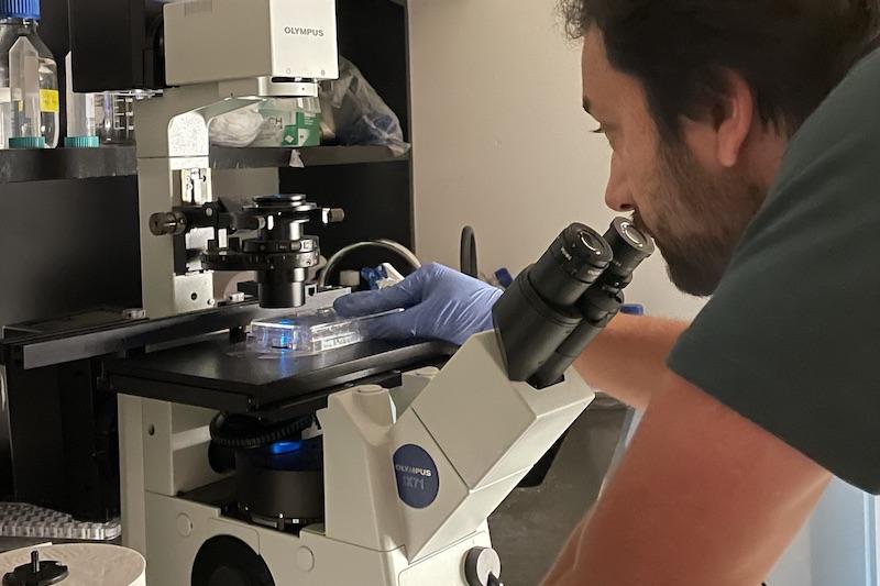 Researcher working in lab