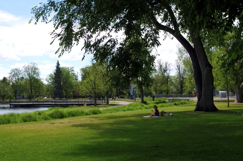 WashPark_Research