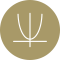 graph icon