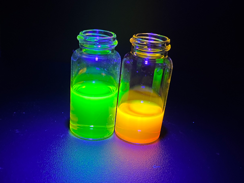 Molecular Probes
