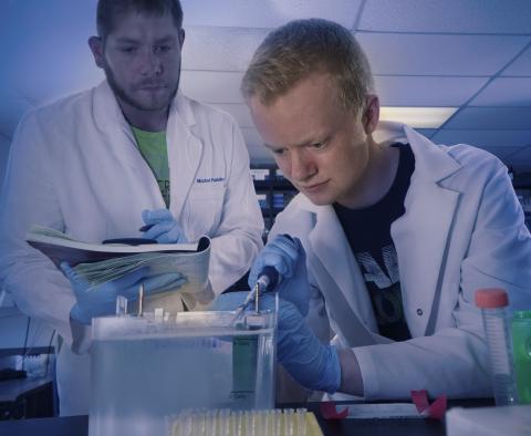 Students Using Microscope