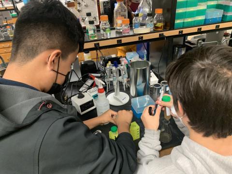 Students work on an experiment in the DSST biochemistry club