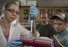 Students Working With Professor