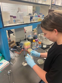 Researcher working in lab